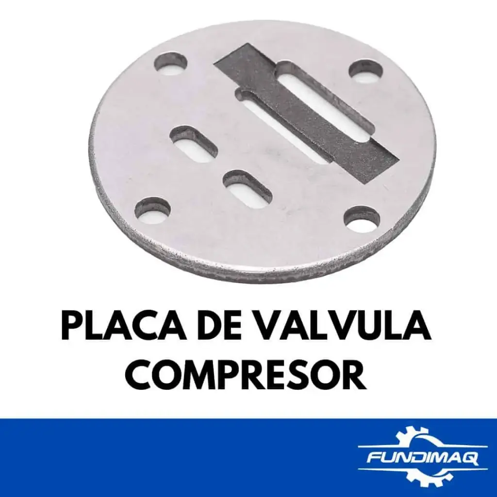 PLACA DE VALVULAS