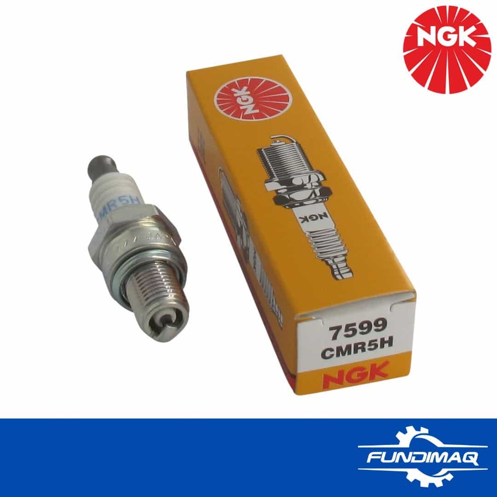 [900182] BUJIA 4T NGK CMR5H