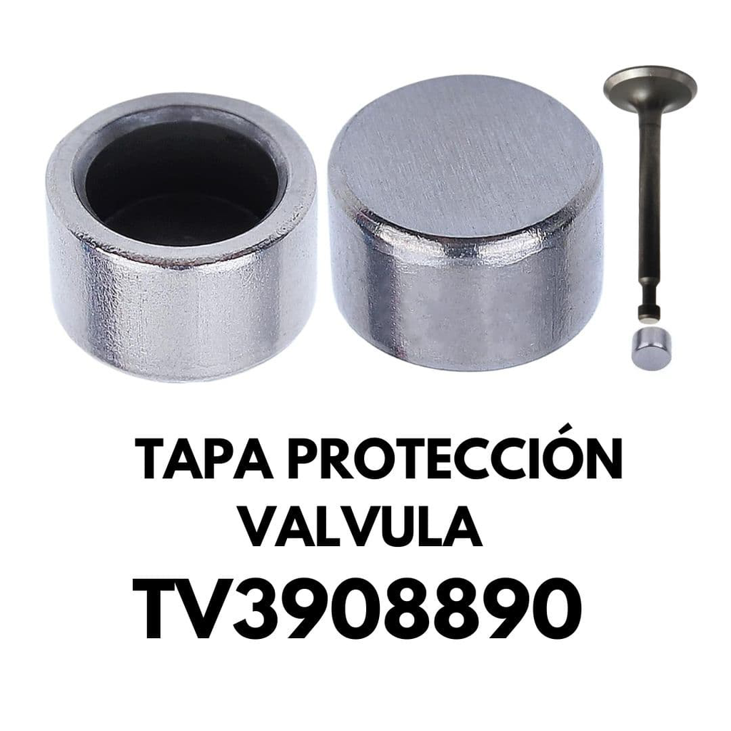 [TV3908890] TAPA VALVULA GX390/SR188/190
